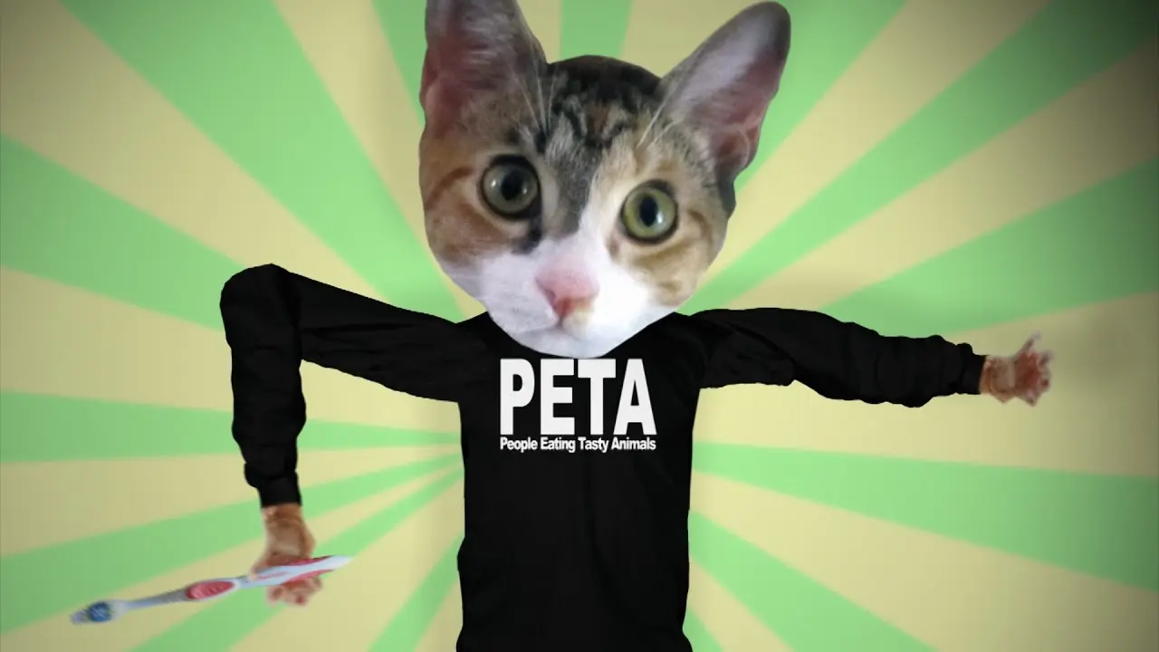 Thumbnail for Why I Hate PETA