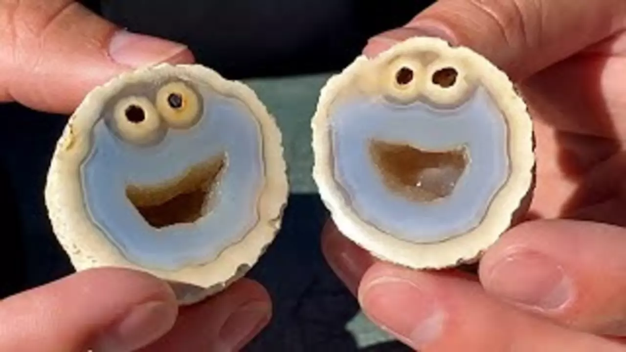 Thumbnail for Rare Gemstone Looks Like The Cookie Monster | Daily Dose Of Internet