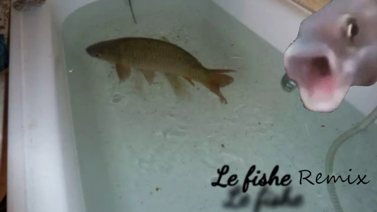 Thumbnail for Le Fishe Remix