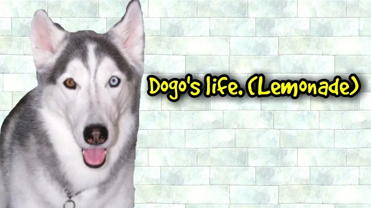 Thumbnail for dogo's life (lemonade) EP 1